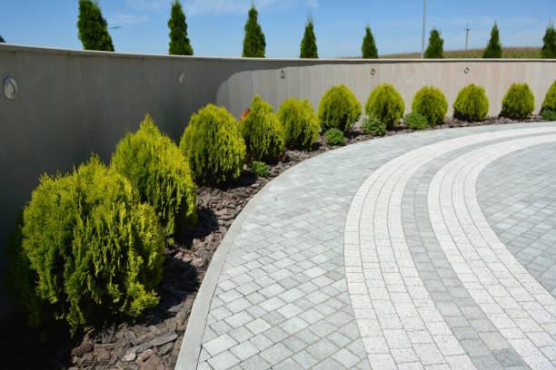 Best Driveway Pavers Near Me  in Salem, AR